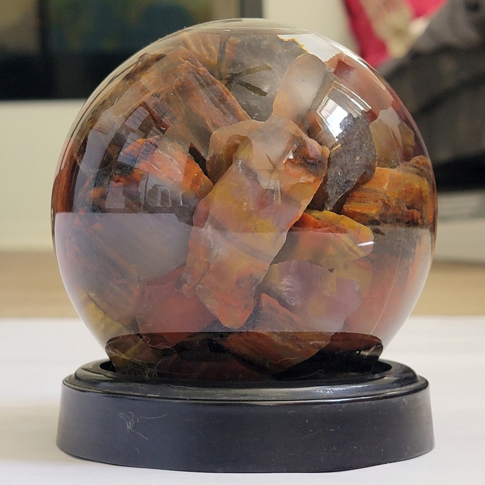 Snowglobe of Rocks | Geology Gift | Petrified Wood | Agate